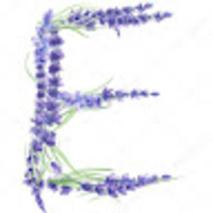 Meet your Posher, Ella